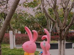 -高东镇樱花园
