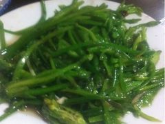 炒海菜-苍洱春饭店