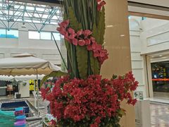 -洋洋广场(南街店)