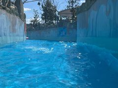 -上海玛雅海滩水公园