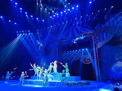 -珠海横琴长隆《卡卡虎奇遇记》