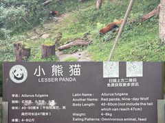 -都江堰中华大熊猫苑