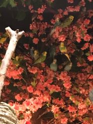 -酷嗒动物文化乐园(cutezoo西溪乐天城店)