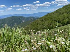 -灵山
