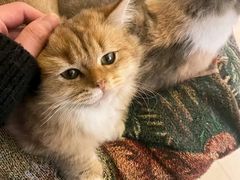 -平行世界·猫咖(首经贸店)