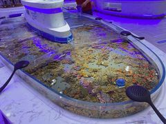 -澜悦港海鲜体验主题餐厅