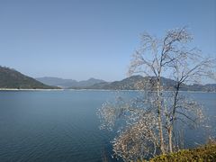 -宝荣鱼馆·临湖之宴(千岛湖店)