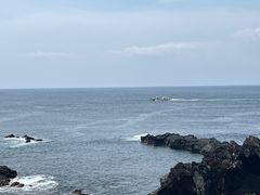 -涉地可支