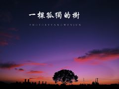 -贡湖湾湿地公园