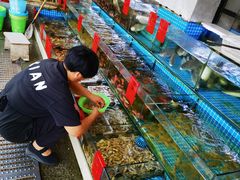 水产区-洲晓鲜·舟山海鲜大排档(朱家尖风景区店)