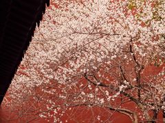 -钱王祠