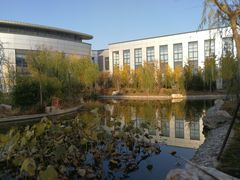 -北京国家会计学院