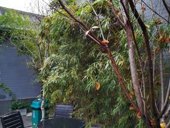 -秋果四合院酒店(北京王府井协和医院店)