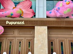 -帕帕拉兹宠物(亚洲旗舰店)