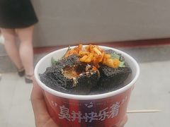 -黑色经典臭豆腐·湖南特产(坡子街店)
