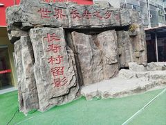 -长寿村