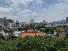 -昆明动物园