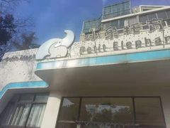 -小象托育