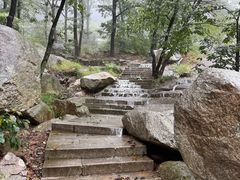 -沂蒙山旅游区云蒙景区(蒙山国家森林公园)
