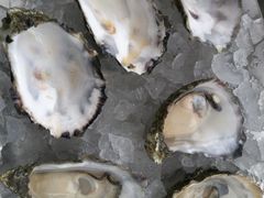 生蚝-Oban Seafood Hut..(Green Shack)