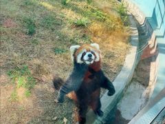 -无锡动物园·太湖欢乐园