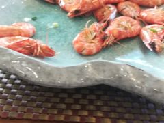 -红星渔村(将军石店)