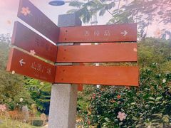 -广州市帽峰山景区