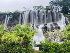 -东部华侨城