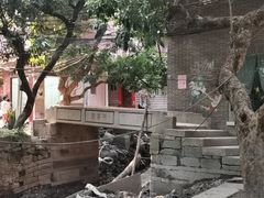-小洲村