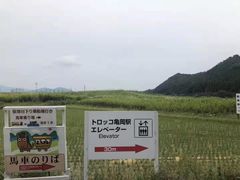-有栖山 清光院 清水寺
