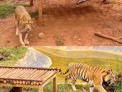 -昆明动物园