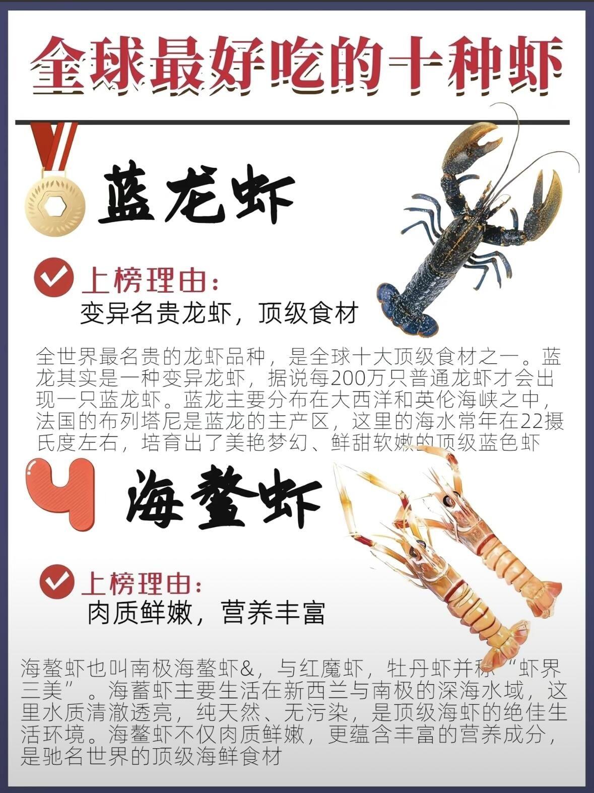 全球十大好吃龙虾排行!