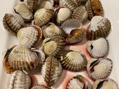 -华盛丰温州大排档(东三环南路店)