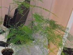 -泰禾馨·泰式按摩精油SPA(华荣大厦店)