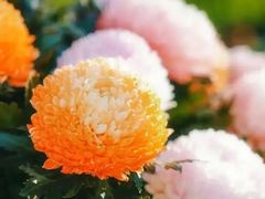 -共青国家森林公园-售票处