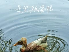 -扬州市茱萸湾风景区