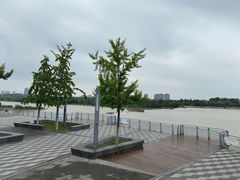-灞河西岸滨河公园