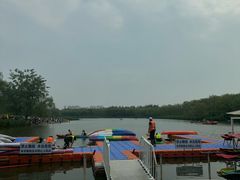 -大兴滨河森林公园