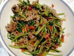 -壹盏灯(惠农店)