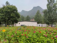 -白河湾生态旅游一条川