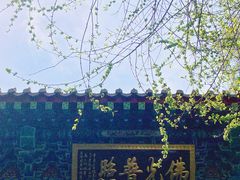 -千佛山风景名胜区