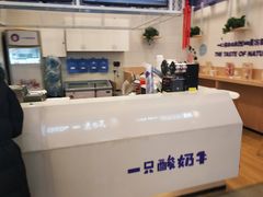 -一只酸奶牛(丹尼斯大卫城店)