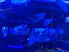 -上和臻品中国菜(花园街店)