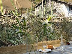 -MOJ coffee(瓯海泽雅水碓坑店)