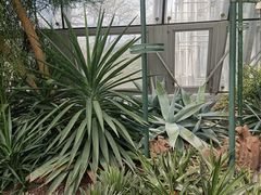 -北京植物园-展览温室