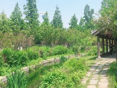 -观唐（国际）度假村温泉