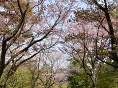 -京都御所