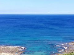 -龙坑生态保护区