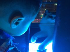 -零纪元VR体验馆·桌游(黄浦店)