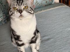 -多卡布奇宠物生活馆(上林世家店)